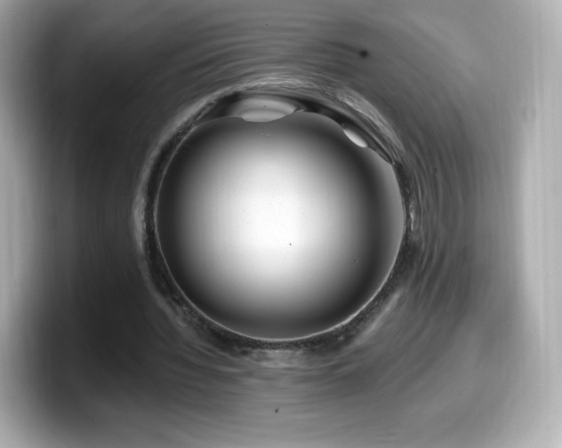 X0000099970436200805231408