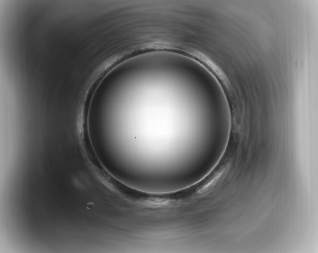 X0000099970437200805231408