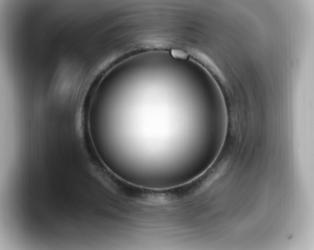 X0000099970439200805231408