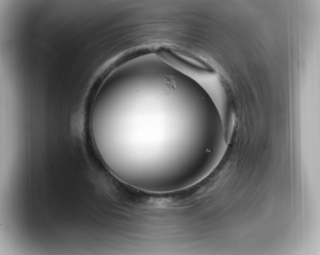 X0000099970440200805231408
