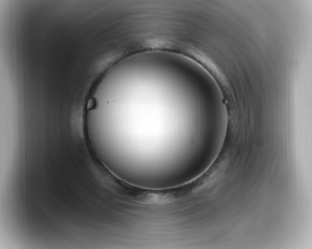 X0000099970442200805231408