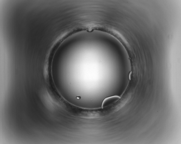 X0000099970443200805231408