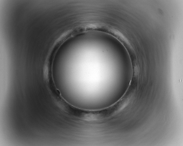 X0000099970444200805231408