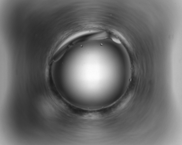 X0000099970447200805231408