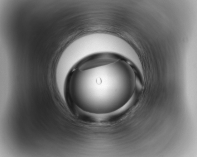 X0000099970448200805231408