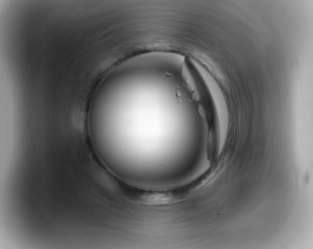 X0000099970449200805231408