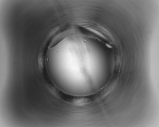 X0000099970452200805231408