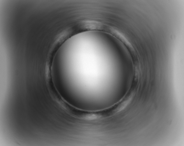 X0000099970453200805231408