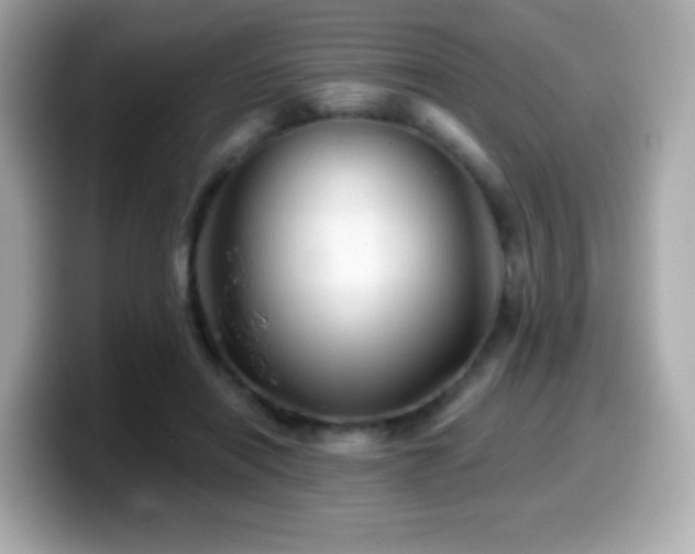 X0000099970454200805231408
