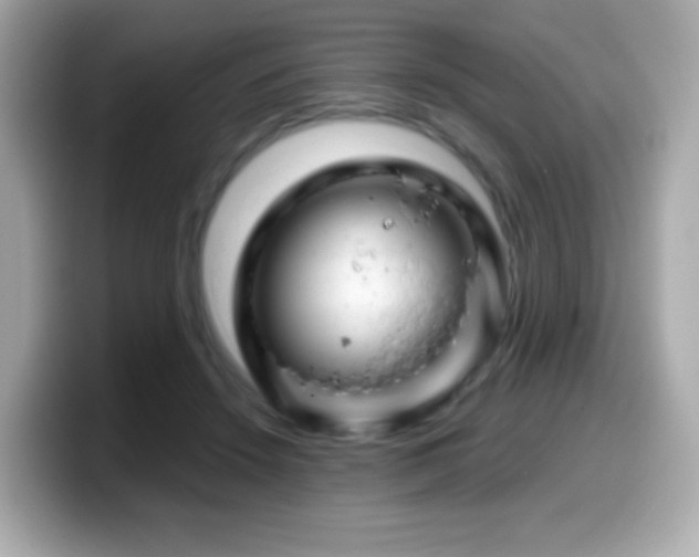 X0000099970456200805231408
