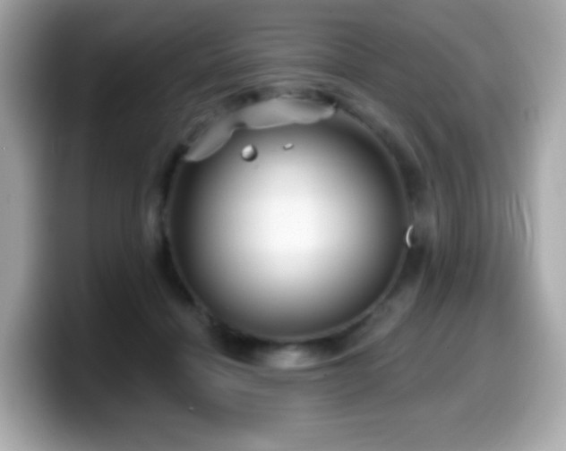 X0000099970460200805231408