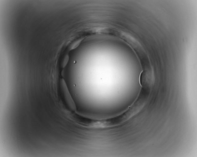 X0000099970461200805231408