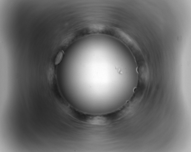 X0000099970463200805231408