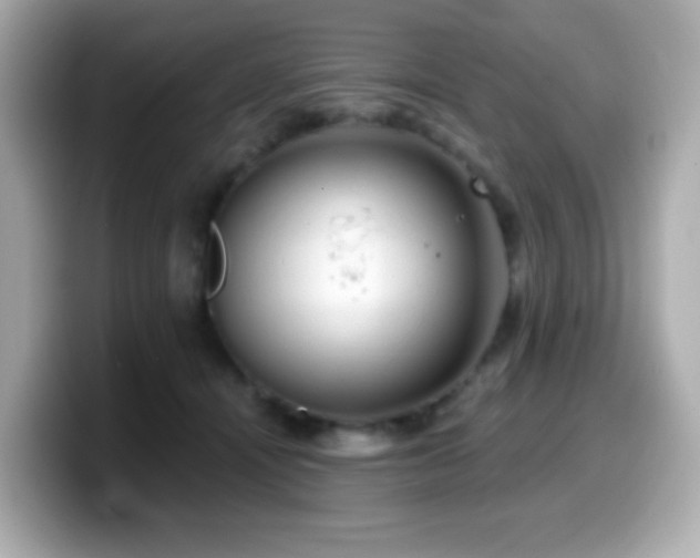 X0000099970464200805231408