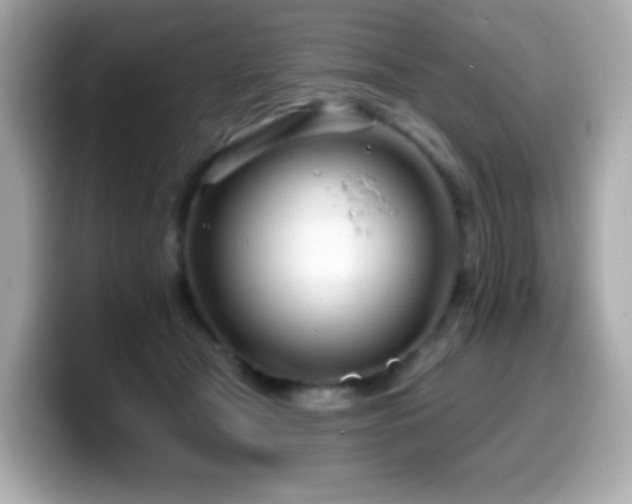 X0000099970465200805231408