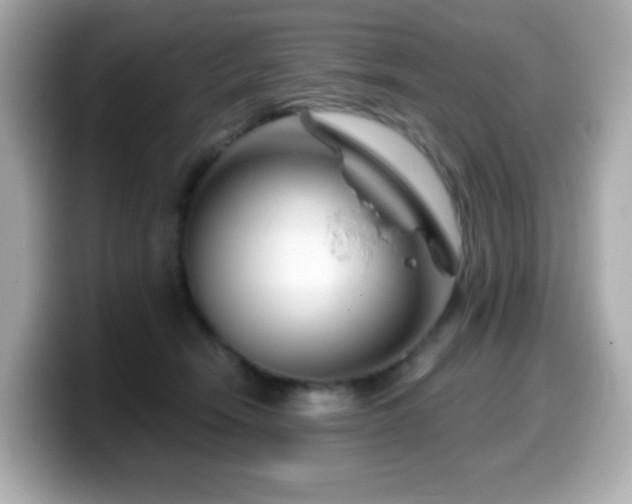 X0000099970466200805231408