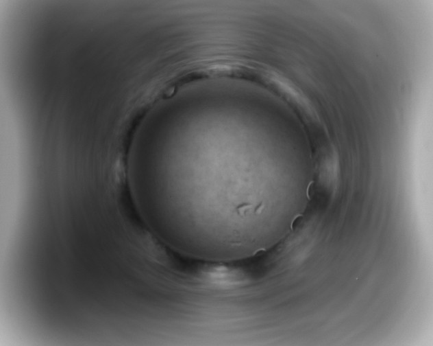 X0000099970467200805231408