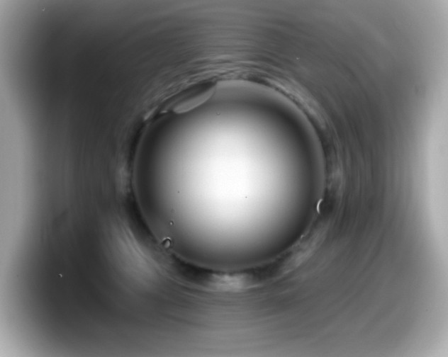 X0000099970469200805231408