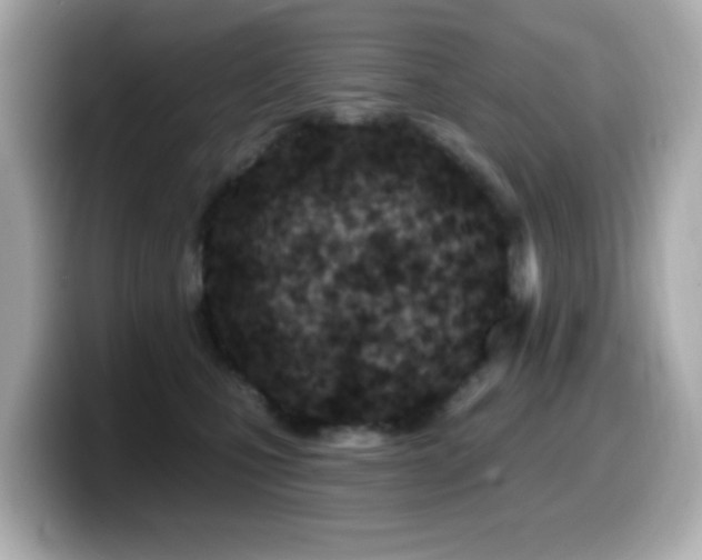 X0000099970471200805231408