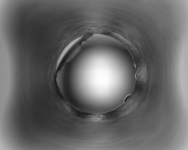X0000099970474200805231408
