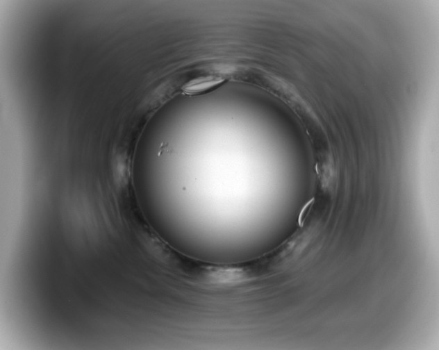 X0000099970476200805231408