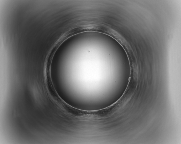 X0000099970482200805231408