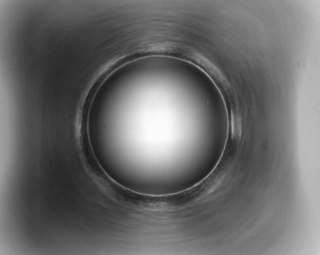 X0000099970483200805231408