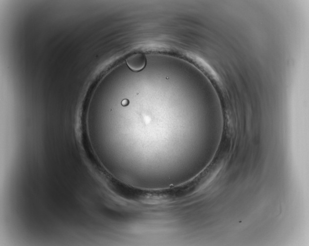 X0000099970487200805231408