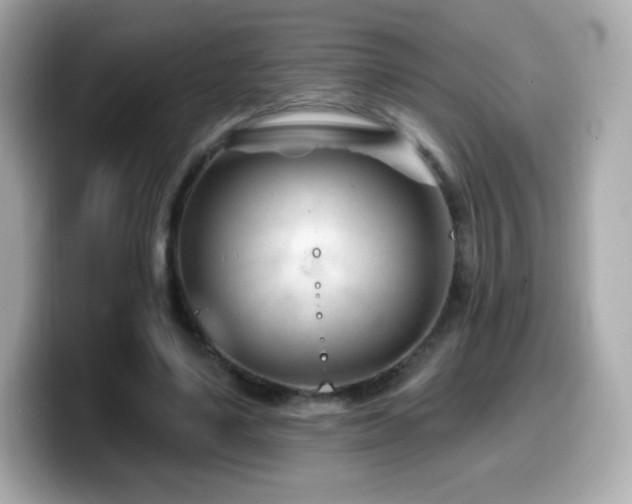 X0000099970491200805231408