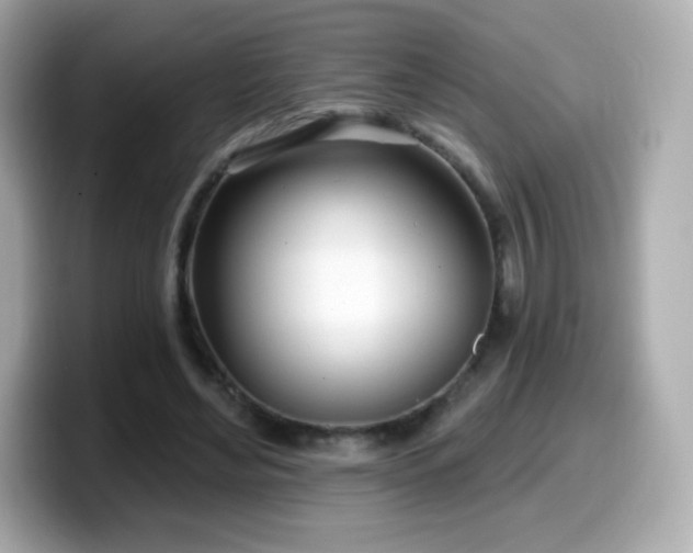 X0000099970492200805231408