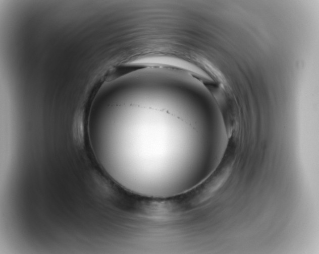 X0000099970493200805231408