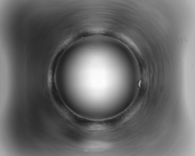 X0000099970494200805231408