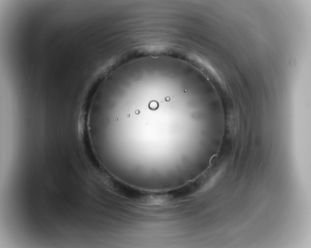 X0000099970495200805231408