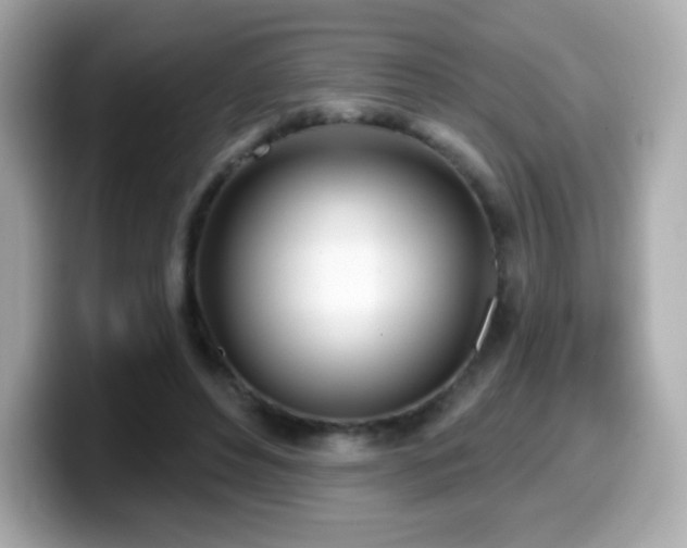 X0000099970496200805231408