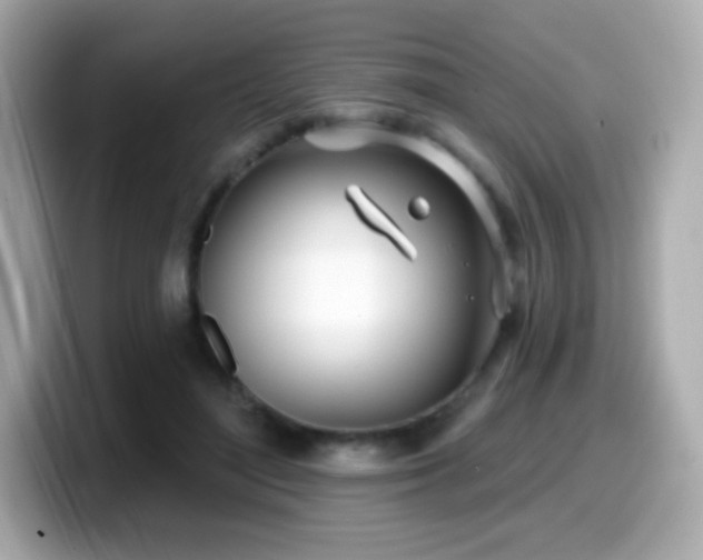 X0000099970500200805231408