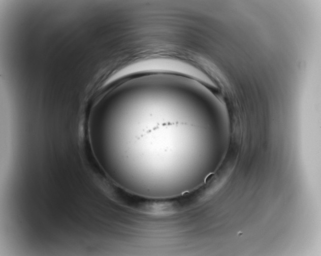 X0000099970501200805231408