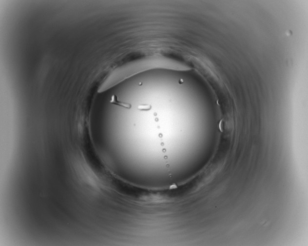 X0000099970503200805231408