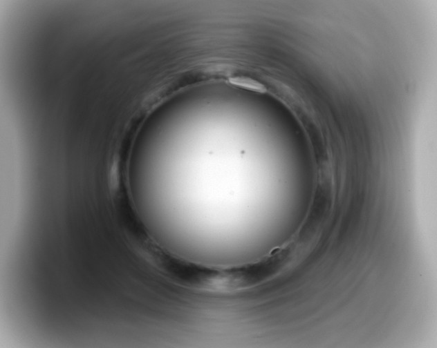X0000099970504200805231408