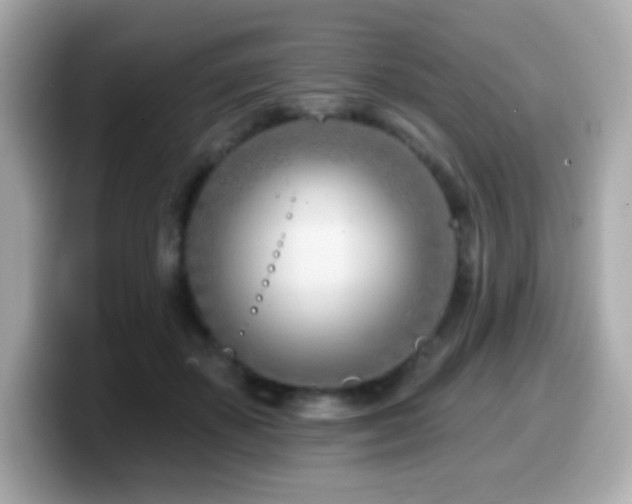 X0000099970507200805231407