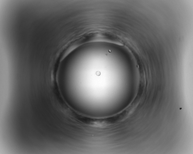 X0000099970508200805231407