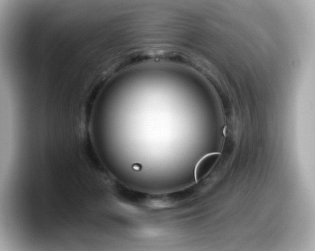 X0000099970510200805231407
