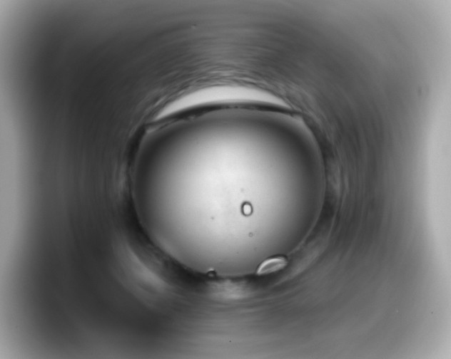 X0000099970511200805231407