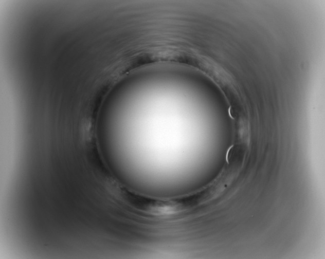 X0000099970514200805231407