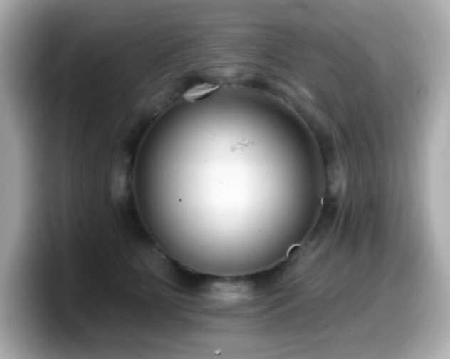 X0000099970515200805231407