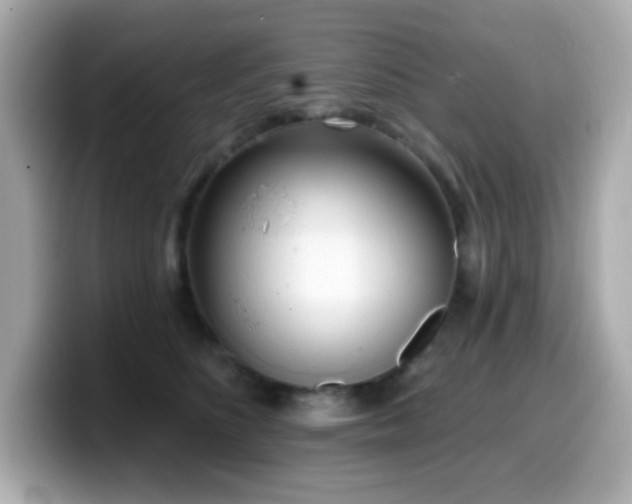 X0000099970516200805231407