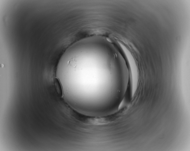 X0000099970517200805231407