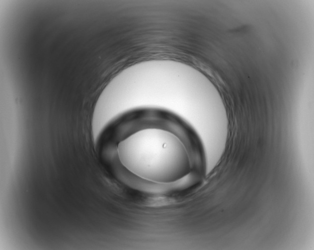 X0000099970521200805231407