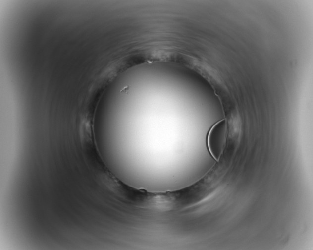X0000099970522200805231407