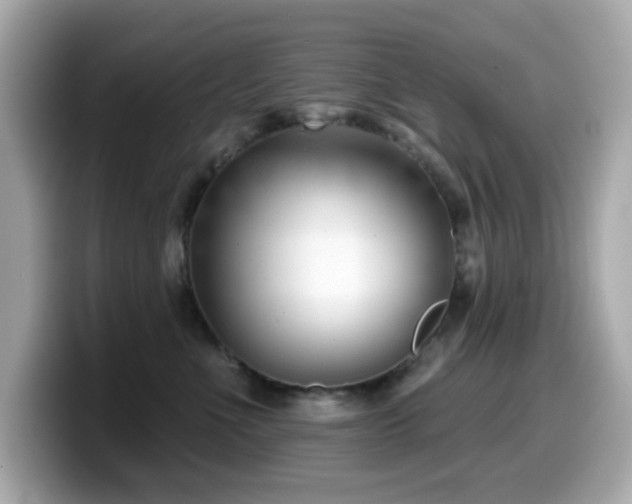 X0000099970523200805231407