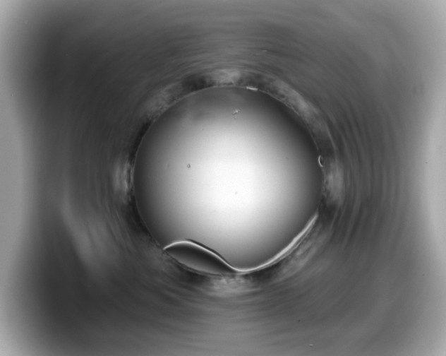 X0000099970525200805231407